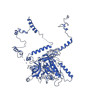 11363_6zqg_CL_v2-0
Cryo-EM structure of the 90S pre-ribosome from Saccharomyces cerevisiae, state Dis-C