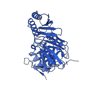 11363_6zqg_CM_v1-1
Cryo-EM structure of the 90S pre-ribosome from Saccharomyces cerevisiae, state Dis-C