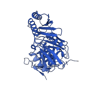 11363_6zqg_CM_v2-0
Cryo-EM structure of the 90S pre-ribosome from Saccharomyces cerevisiae, state Dis-C