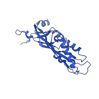 11363_6zqg_DA_v1-1
Cryo-EM structure of the 90S pre-ribosome from Saccharomyces cerevisiae, state Dis-C