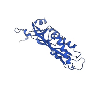 11363_6zqg_DA_v2-0
Cryo-EM structure of the 90S pre-ribosome from Saccharomyces cerevisiae, state Dis-C