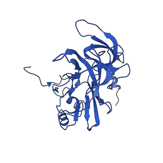 11363_6zqg_DE_v2-0
Cryo-EM structure of the 90S pre-ribosome from Saccharomyces cerevisiae, state Dis-C