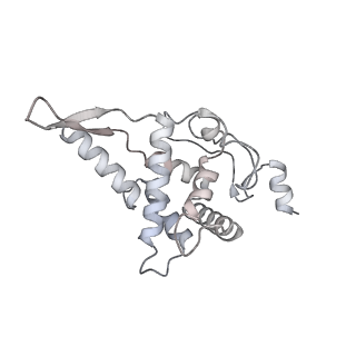 11363_6zqg_DF_v1-1
Cryo-EM structure of the 90S pre-ribosome from Saccharomyces cerevisiae, state Dis-C