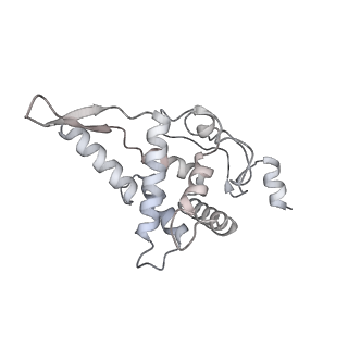 11363_6zqg_DF_v2-0
Cryo-EM structure of the 90S pre-ribosome from Saccharomyces cerevisiae, state Dis-C