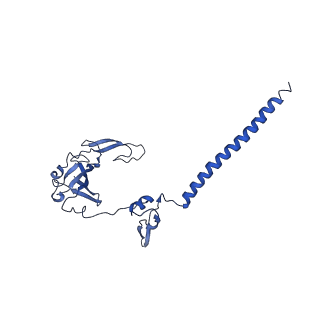 11363_6zqg_DG_v2-0
Cryo-EM structure of the 90S pre-ribosome from Saccharomyces cerevisiae, state Dis-C