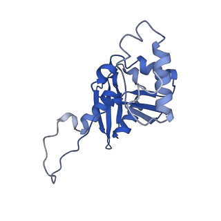 11363_6zqg_DH_v1-1
Cryo-EM structure of the 90S pre-ribosome from Saccharomyces cerevisiae, state Dis-C