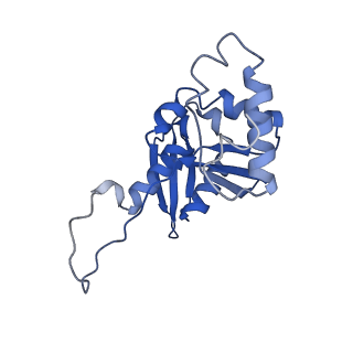 11363_6zqg_DH_v2-0
Cryo-EM structure of the 90S pre-ribosome from Saccharomyces cerevisiae, state Dis-C