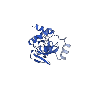 11363_6zqg_DI_v1-1
Cryo-EM structure of the 90S pre-ribosome from Saccharomyces cerevisiae, state Dis-C
