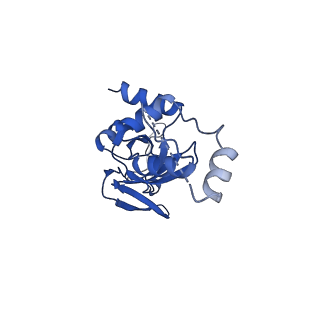 11363_6zqg_DI_v2-0
Cryo-EM structure of the 90S pre-ribosome from Saccharomyces cerevisiae, state Dis-C