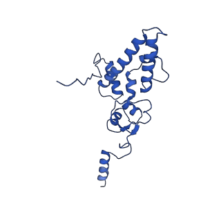 11363_6zqg_DJ_v1-1
Cryo-EM structure of the 90S pre-ribosome from Saccharomyces cerevisiae, state Dis-C