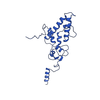 11363_6zqg_DJ_v2-0
Cryo-EM structure of the 90S pre-ribosome from Saccharomyces cerevisiae, state Dis-C