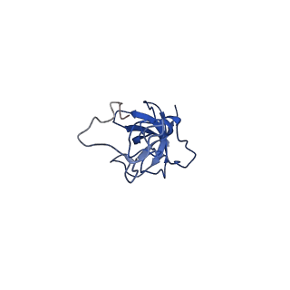 11363_6zqg_DL_v1-1
Cryo-EM structure of the 90S pre-ribosome from Saccharomyces cerevisiae, state Dis-C