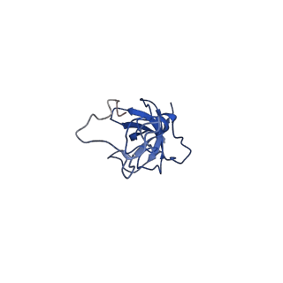 11363_6zqg_DL_v2-0
Cryo-EM structure of the 90S pre-ribosome from Saccharomyces cerevisiae, state Dis-C