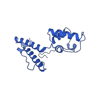 11363_6zqg_DN_v2-0
Cryo-EM structure of the 90S pre-ribosome from Saccharomyces cerevisiae, state Dis-C