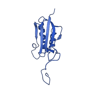 11363_6zqg_DO_v2-0
Cryo-EM structure of the 90S pre-ribosome from Saccharomyces cerevisiae, state Dis-C