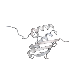 11363_6zqg_DQ_v2-0
Cryo-EM structure of the 90S pre-ribosome from Saccharomyces cerevisiae, state Dis-C