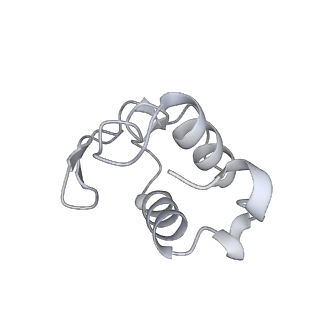 11363_6zqg_DS_v2-0
Cryo-EM structure of the 90S pre-ribosome from Saccharomyces cerevisiae, state Dis-C