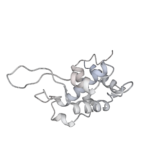 11363_6zqg_DT_v1-1
Cryo-EM structure of the 90S pre-ribosome from Saccharomyces cerevisiae, state Dis-C