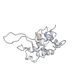 11363_6zqg_DT_v2-0
Cryo-EM structure of the 90S pre-ribosome from Saccharomyces cerevisiae, state Dis-C