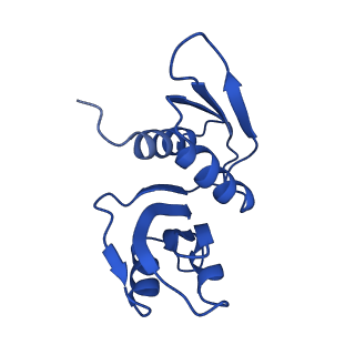 11363_6zqg_DW_v2-0
Cryo-EM structure of the 90S pre-ribosome from Saccharomyces cerevisiae, state Dis-C