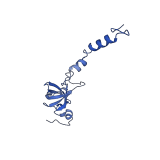 11363_6zqg_DX_v2-0
Cryo-EM structure of the 90S pre-ribosome from Saccharomyces cerevisiae, state Dis-C