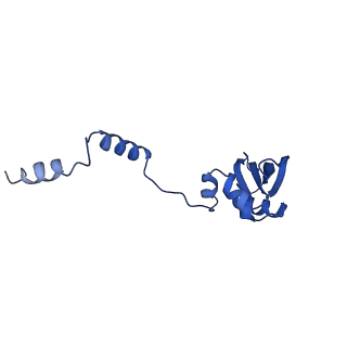 11363_6zqg_DY_v1-1
Cryo-EM structure of the 90S pre-ribosome from Saccharomyces cerevisiae, state Dis-C