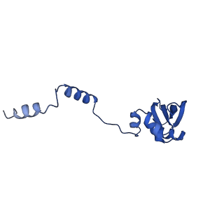 11363_6zqg_DY_v2-0
Cryo-EM structure of the 90S pre-ribosome from Saccharomyces cerevisiae, state Dis-C