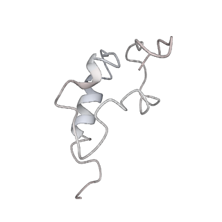 11363_6zqg_DZ_v1-1
Cryo-EM structure of the 90S pre-ribosome from Saccharomyces cerevisiae, state Dis-C