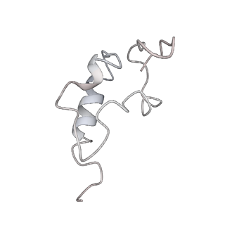 11363_6zqg_DZ_v2-0
Cryo-EM structure of the 90S pre-ribosome from Saccharomyces cerevisiae, state Dis-C