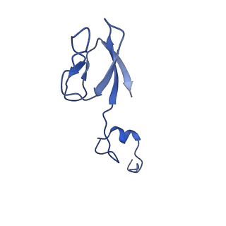 11363_6zqg_Db_v2-0
Cryo-EM structure of the 90S pre-ribosome from Saccharomyces cerevisiae, state Dis-C