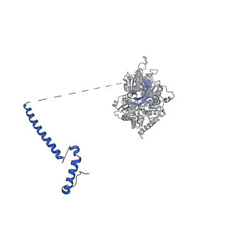 11363_6zqg_JD_v1-1
Cryo-EM structure of the 90S pre-ribosome from Saccharomyces cerevisiae, state Dis-C