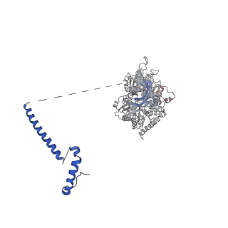 11363_6zqg_JD_v2-0
Cryo-EM structure of the 90S pre-ribosome from Saccharomyces cerevisiae, state Dis-C