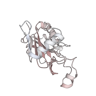 11363_6zqg_JF_v1-1
Cryo-EM structure of the 90S pre-ribosome from Saccharomyces cerevisiae, state Dis-C