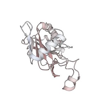 11363_6zqg_JF_v2-0
Cryo-EM structure of the 90S pre-ribosome from Saccharomyces cerevisiae, state Dis-C