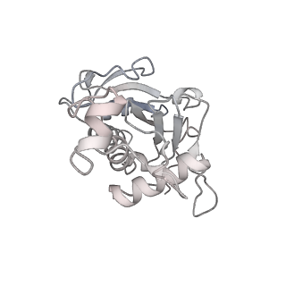 11363_6zqg_JG_v1-1
Cryo-EM structure of the 90S pre-ribosome from Saccharomyces cerevisiae, state Dis-C