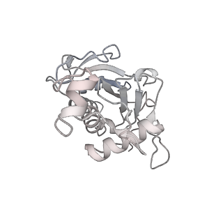 11363_6zqg_JG_v2-0
Cryo-EM structure of the 90S pre-ribosome from Saccharomyces cerevisiae, state Dis-C