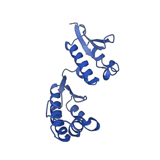 11363_6zqg_JJ_v2-0
Cryo-EM structure of the 90S pre-ribosome from Saccharomyces cerevisiae, state Dis-C