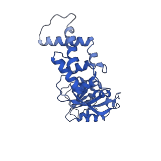11363_6zqg_JL_v1-1
Cryo-EM structure of the 90S pre-ribosome from Saccharomyces cerevisiae, state Dis-C