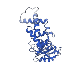 11363_6zqg_JL_v2-0
Cryo-EM structure of the 90S pre-ribosome from Saccharomyces cerevisiae, state Dis-C