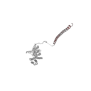 11363_6zqg_UB_v1-1
Cryo-EM structure of the 90S pre-ribosome from Saccharomyces cerevisiae, state Dis-C