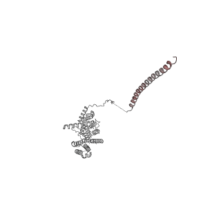 11363_6zqg_UB_v2-0
Cryo-EM structure of the 90S pre-ribosome from Saccharomyces cerevisiae, state Dis-C