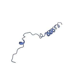 11363_6zqg_UC_v2-0
Cryo-EM structure of the 90S pre-ribosome from Saccharomyces cerevisiae, state Dis-C