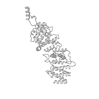11363_6zqg_US_v1-1
Cryo-EM structure of the 90S pre-ribosome from Saccharomyces cerevisiae, state Dis-C