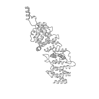 11363_6zqg_US_v2-0
Cryo-EM structure of the 90S pre-ribosome from Saccharomyces cerevisiae, state Dis-C