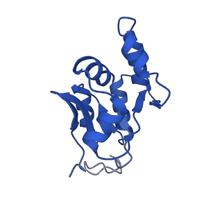 11363_6zqg_UX_v2-0
Cryo-EM structure of the 90S pre-ribosome from Saccharomyces cerevisiae, state Dis-C