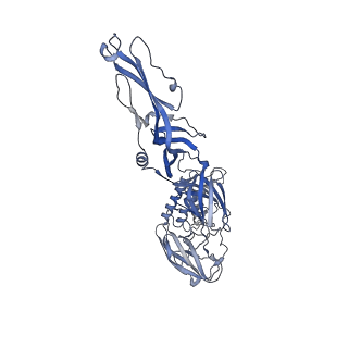 11364_6zqi_A_v1-1
Cryo-EM structure of Spondweni virus prME