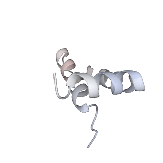 11364_6zqi_C_v1-1
Cryo-EM structure of Spondweni virus prME