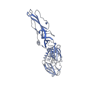11366_6zqj_A_v1-1
Cryo-EM structure of trimeric prME spike of Spondweni virus