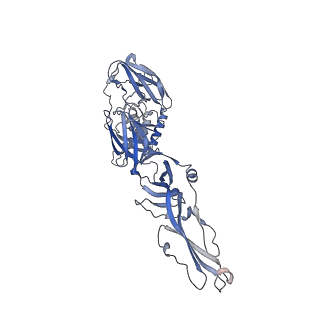 11366_6zqj_G_v1-1
Cryo-EM structure of trimeric prME spike of Spondweni virus