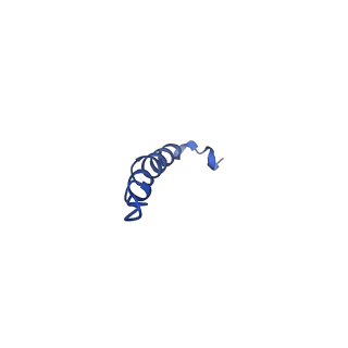 11368_6zqm_8_v1-2
bovine ATP synthase monomer state 2 (combined)